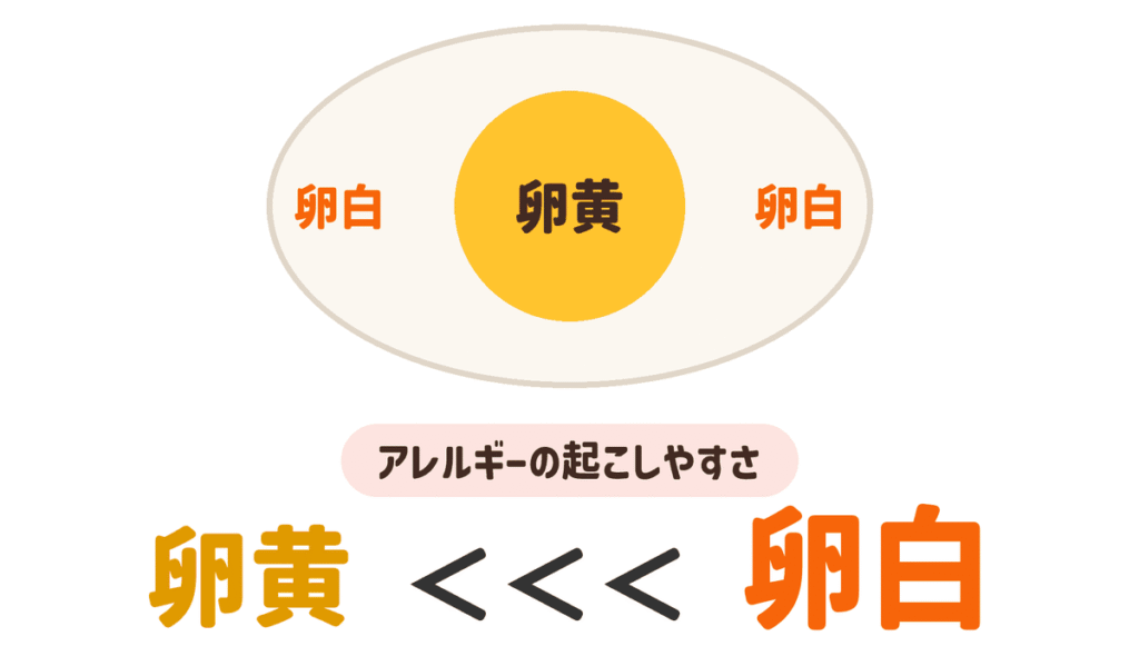 卵黄と卵白のアレルギーの起こしやすさの比較｜卵アレルギーの原因はほとんどが卵白